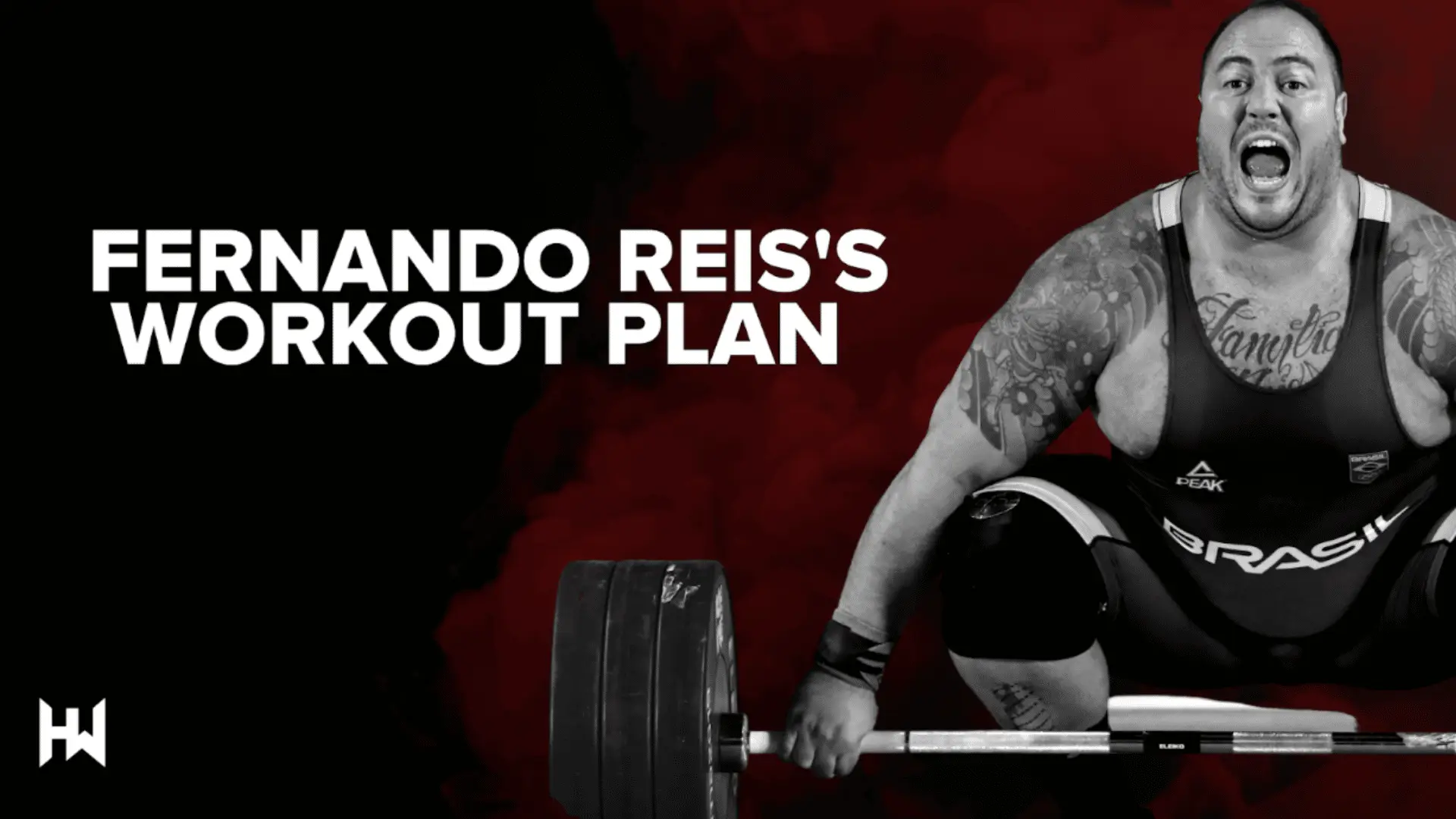 Fernando Reis 12 Week Program Untitled design 2