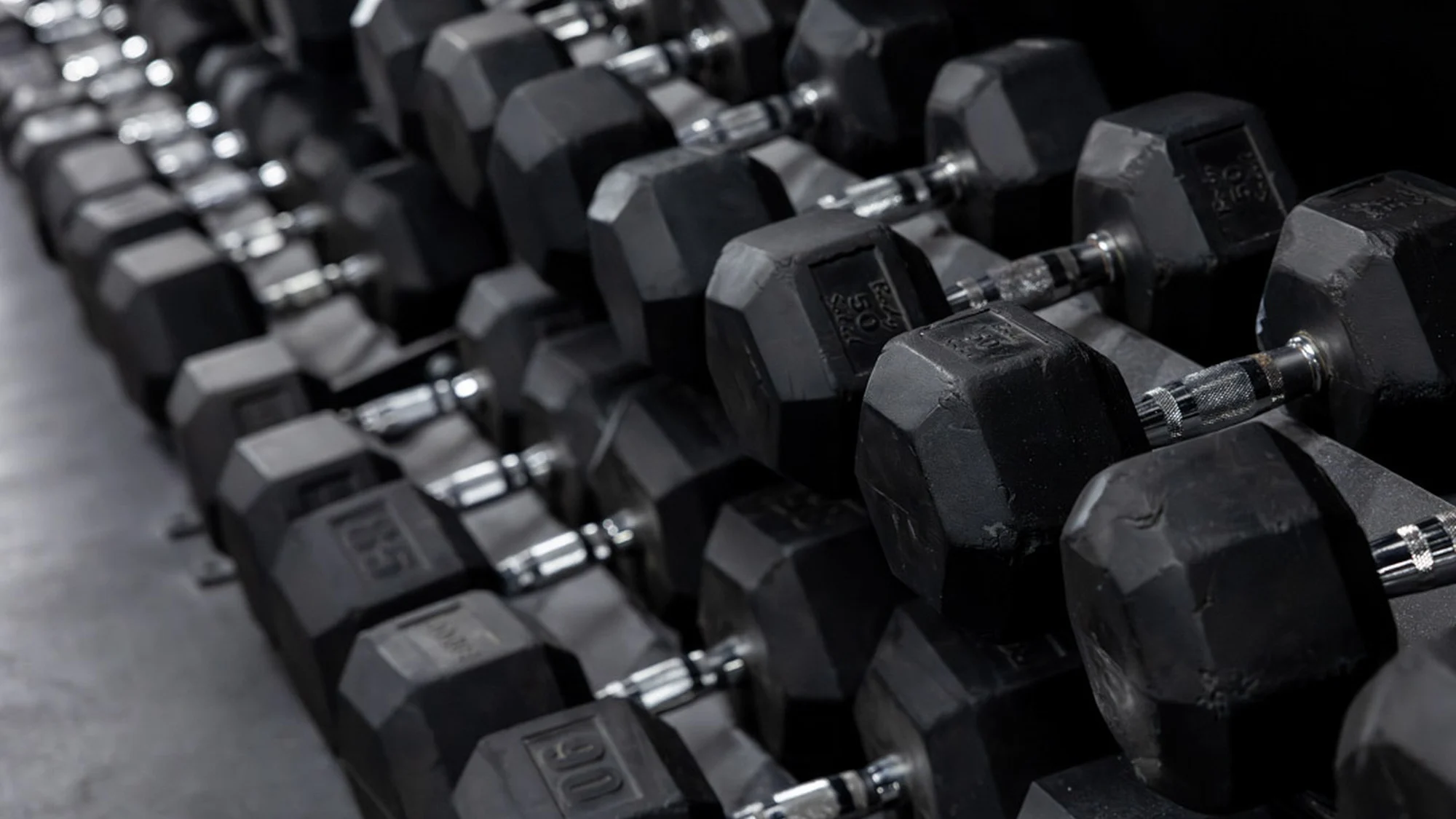 Rows of dumbbells on racks at Hunger in the Wild Gym